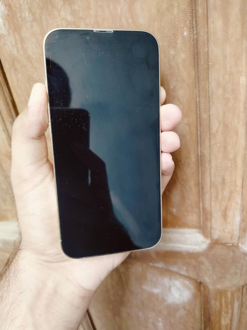 iPhone 13 Pro 1