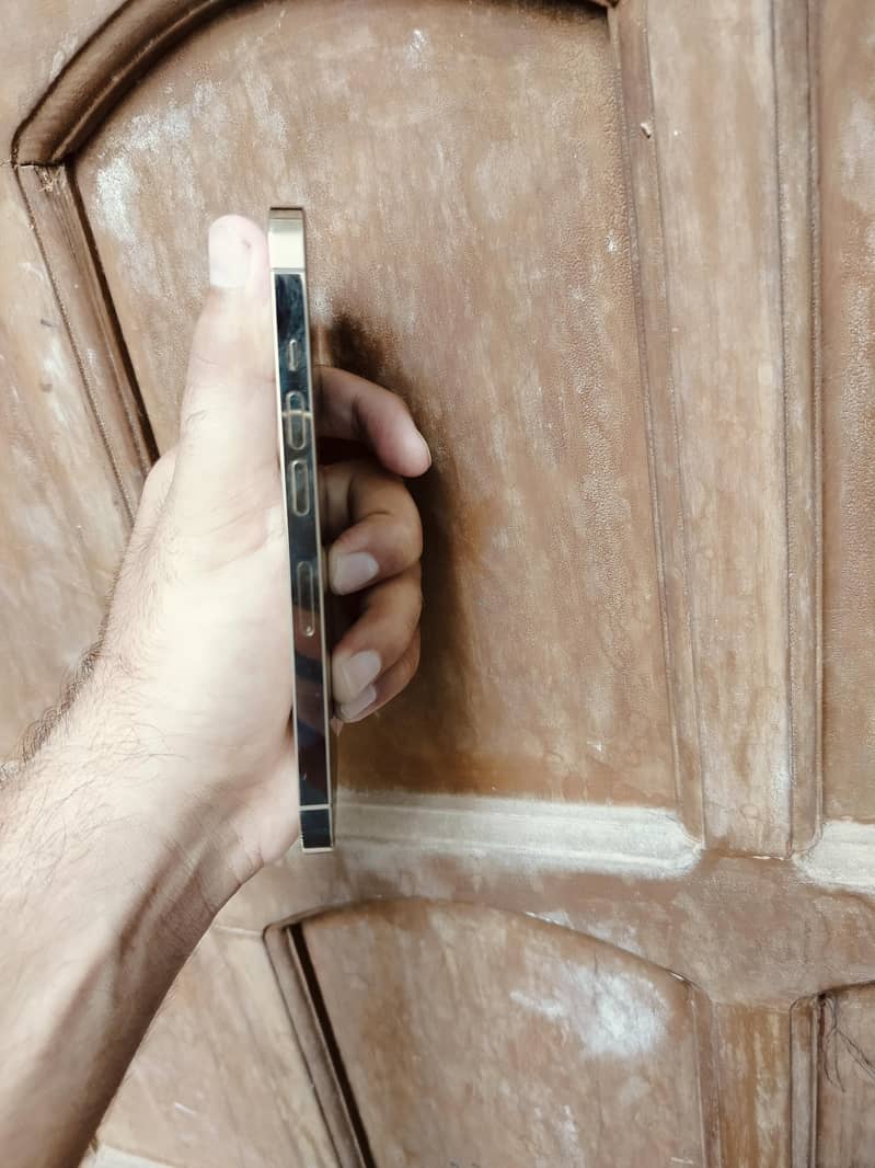 iPhone 13 Pro 2