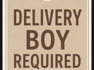DELIVERY BOY