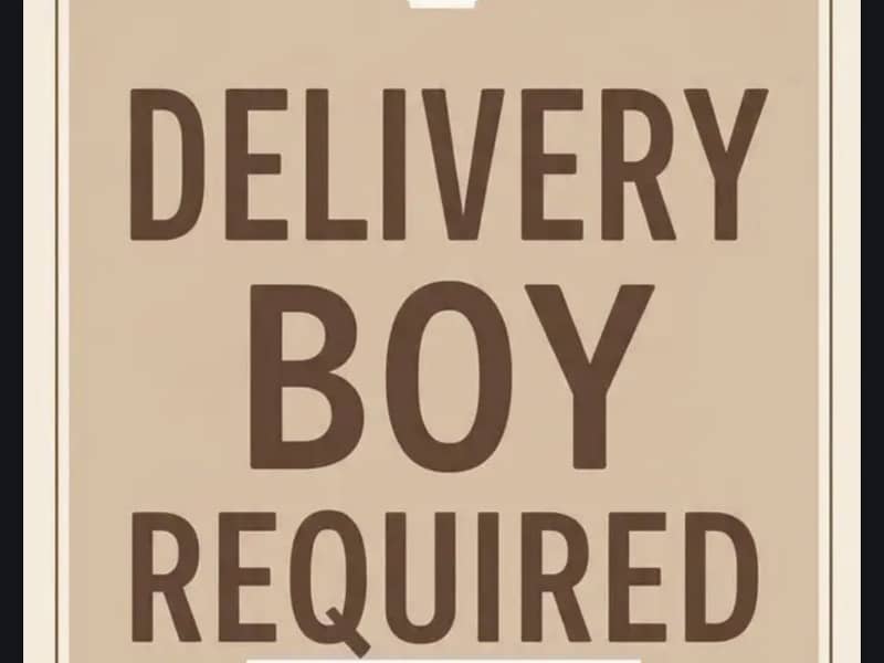 DELIVERY BOY 0