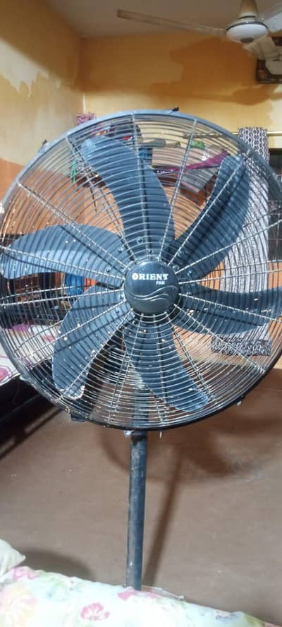 orient ka fan he