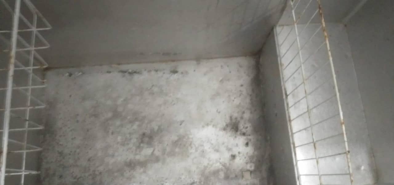 deep freezer 7
