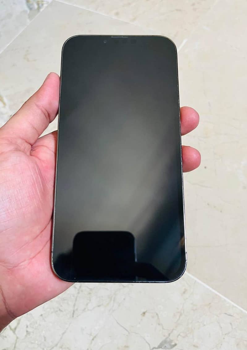 iPhone 13 Pro Max 1