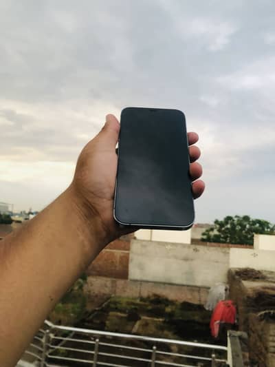 Apple iPhone 12 Pro