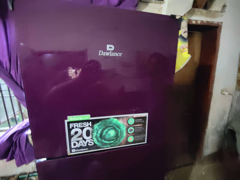 dawlance 1