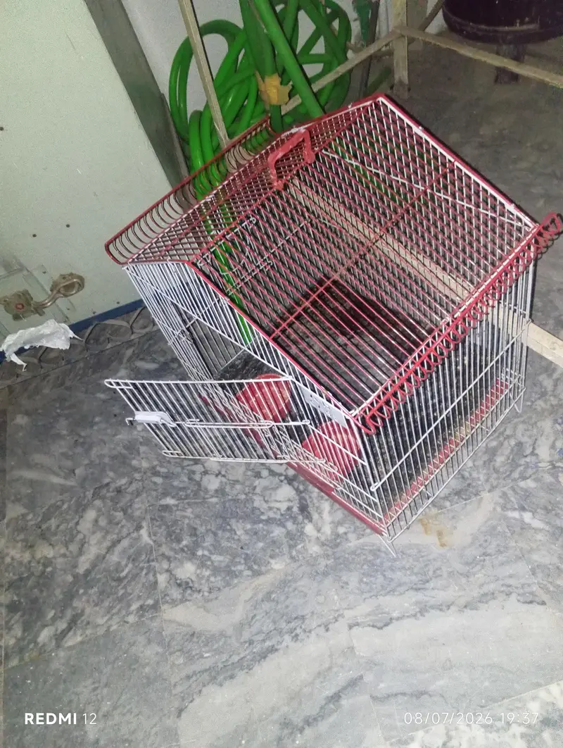 2 HEN CAGES FOR SALE — photo 2