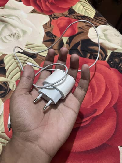 Iphone charger