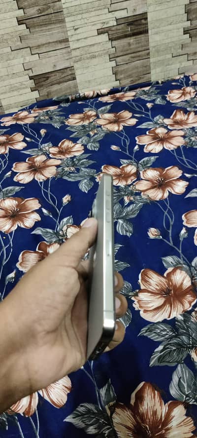Apple iPhone 15 Pro Max pannel change