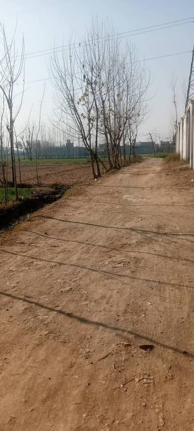 28 Marla Plot For Sale Urgent Hasan Abad Par Hoti Mardan