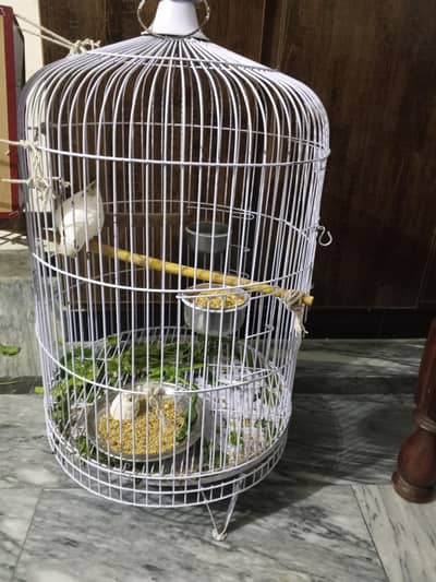 Cage only