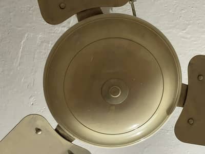 Ceiling fan