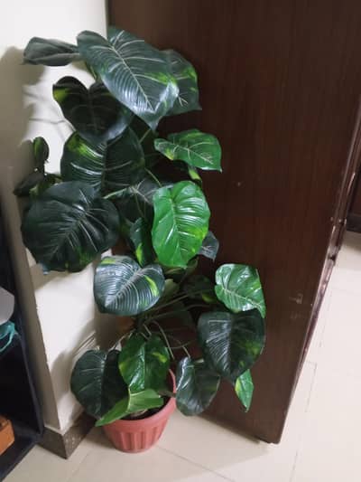 Artificial Plant