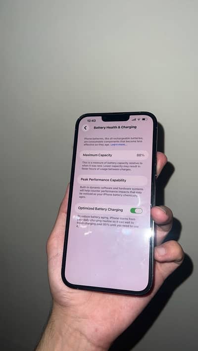 Apple iPhone 13 Pro Max