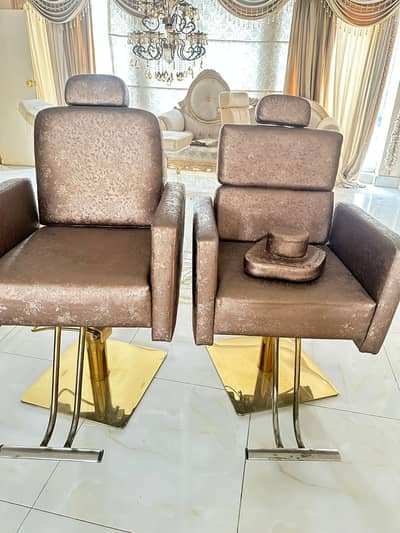 Luxury Saloon Furniture for sale // Saloon chairs