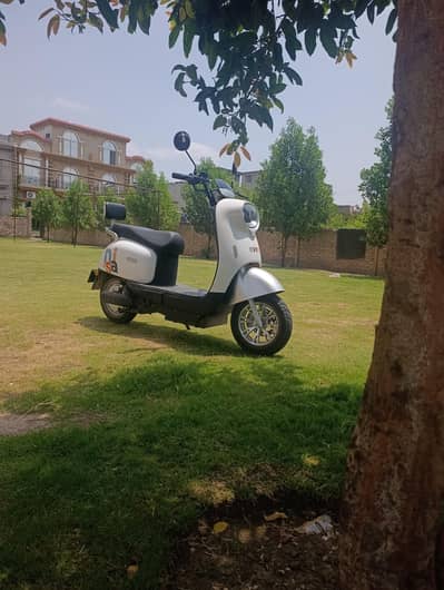 evee Nisa for almost new