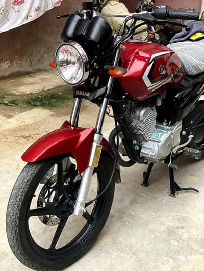 Yamaha yb 125z DX brand new 2025 model
