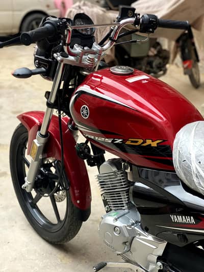 Yamaha yb 125z DX brand new 2025 model