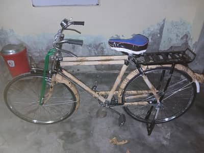shorab cycle 22"inch