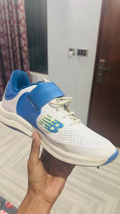 NB Spikes cricket shoes