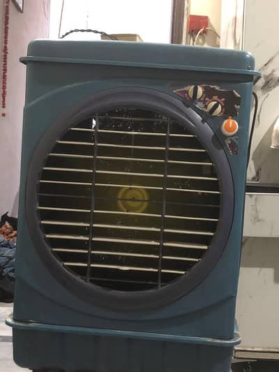 12 watt AC DC cooler price finl hai