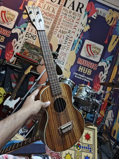 IRIN Zebrawood Acoustic Ukulele With Free High Quality Bag etc