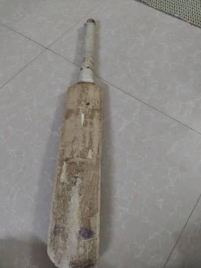 cricket bat