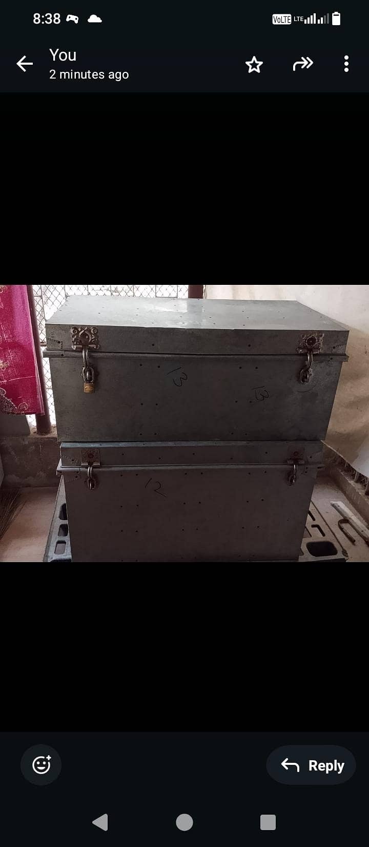 trunk 0