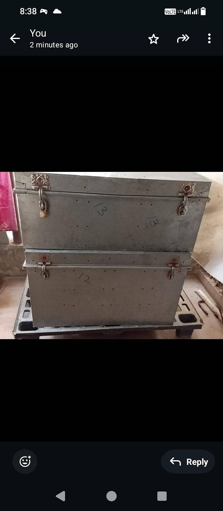 trunk 1