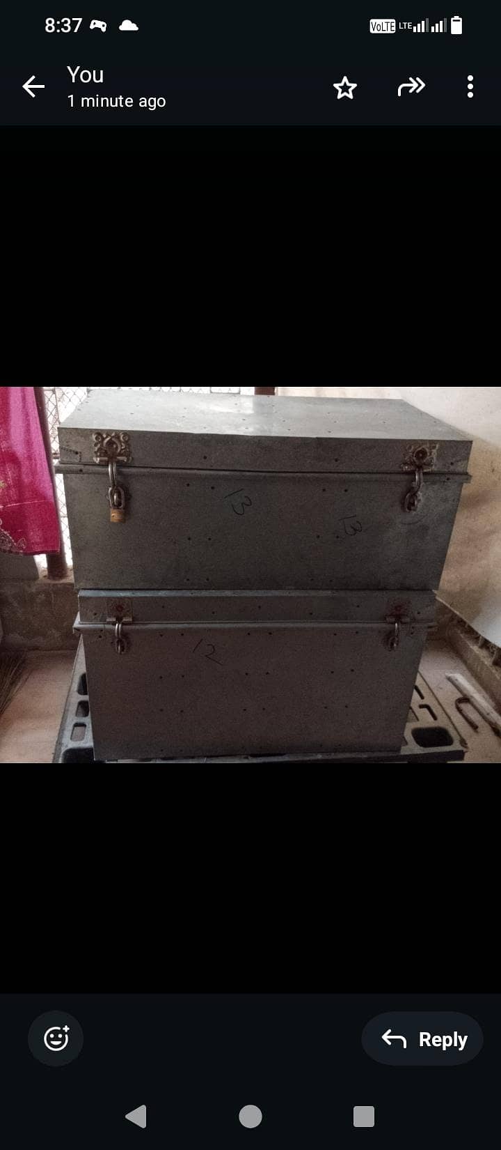 trunk 9