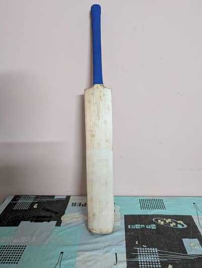 English Willow bat