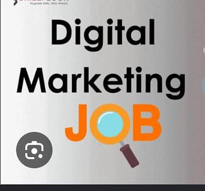 Female Digital Marketing Expert Required for Company