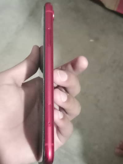 Apple iPhone XR