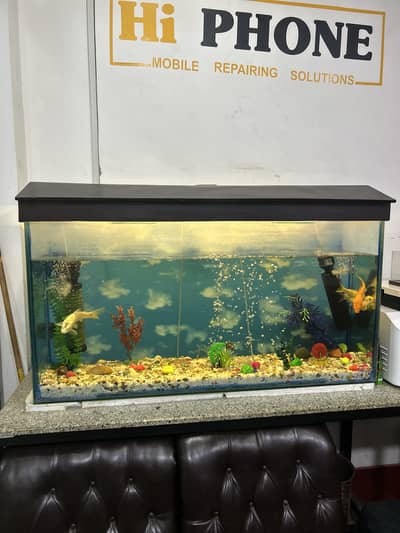 Aquarium and fishes for sale