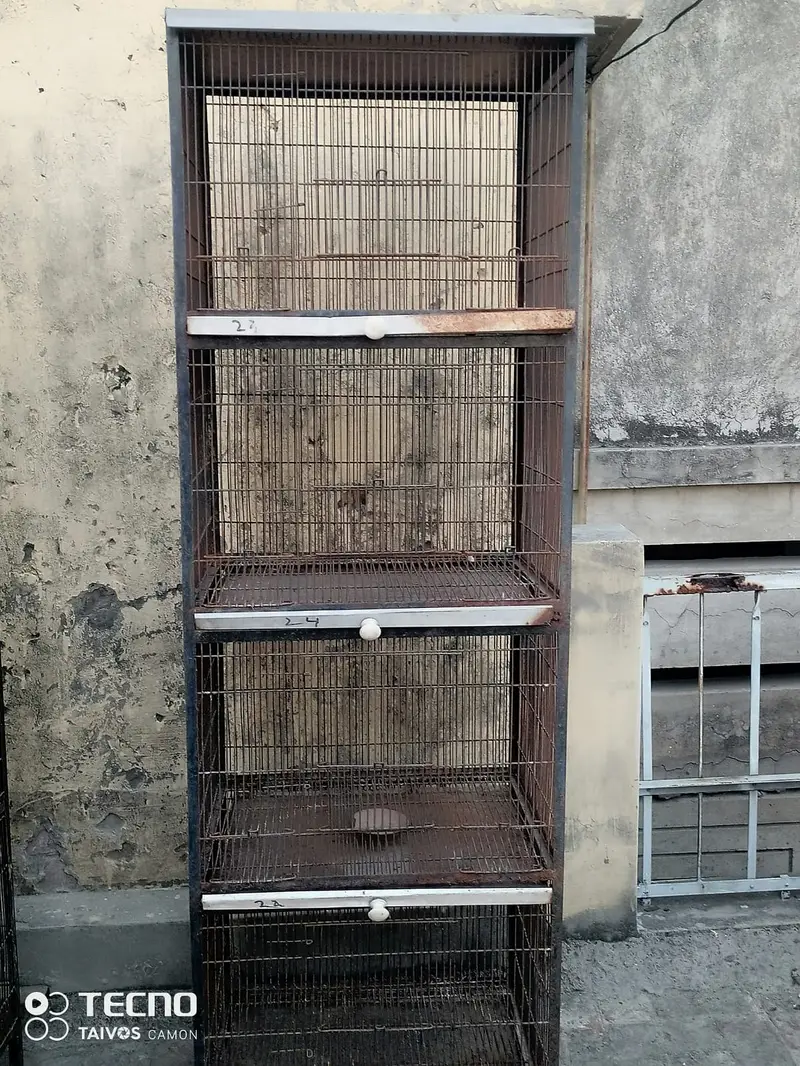 BIRDS CAGE FOR SALE — photo 2
