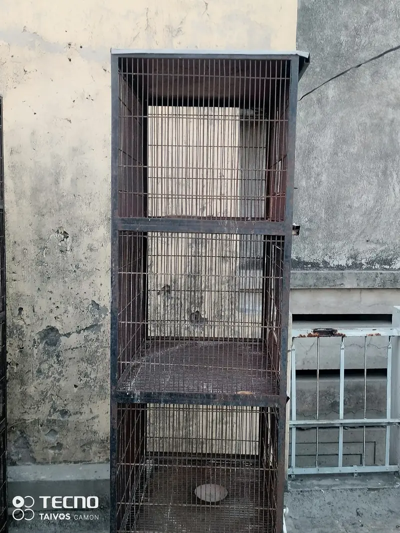 BIRDS CAGE FOR SALE — photo 3