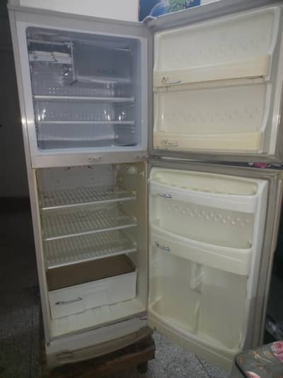 Pel Refrigerator Medium Size