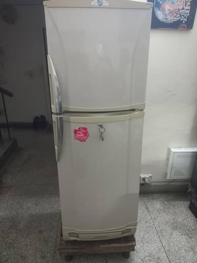 Pel Refrigerator Medium Size