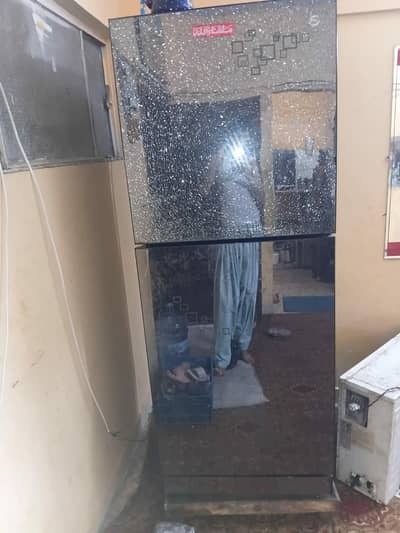 pel jumbo size fridge 3 year normal home used