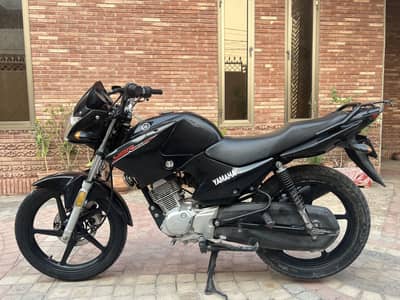 Yamaha YBR 125  2018-19