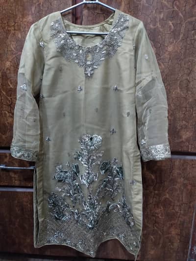 Festive wear organza