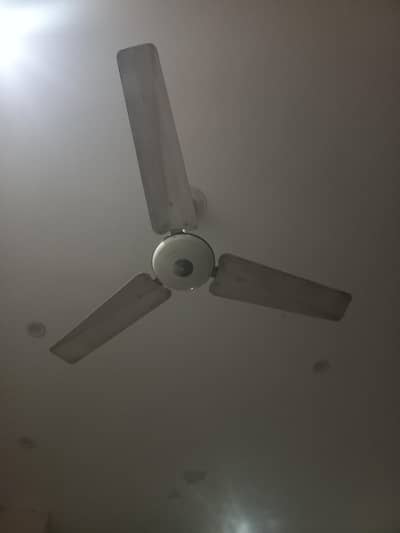 Pak fan