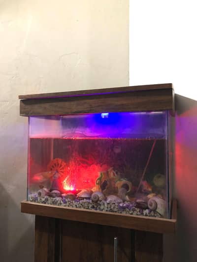 Fish Aquarium