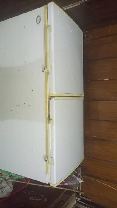Waves Deep Freezer