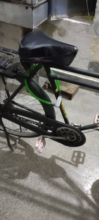 Phonix cycle