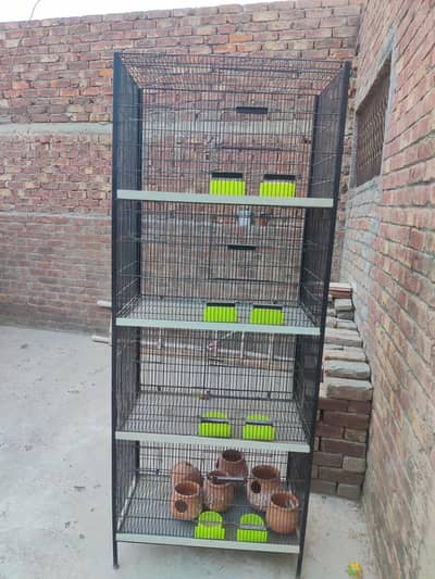 Cage (love bird)