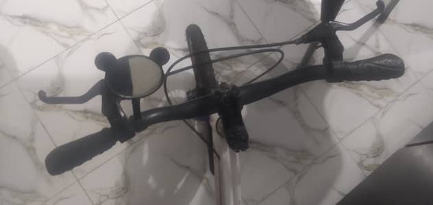 Original Continental Brand Cycle