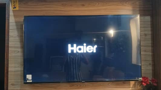 Hair LED 55 Inches