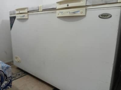 Double door Deep freezer and refrigerator