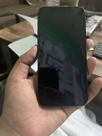 Apple iPhone 12 Pro