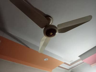 urgent sale cilling fan